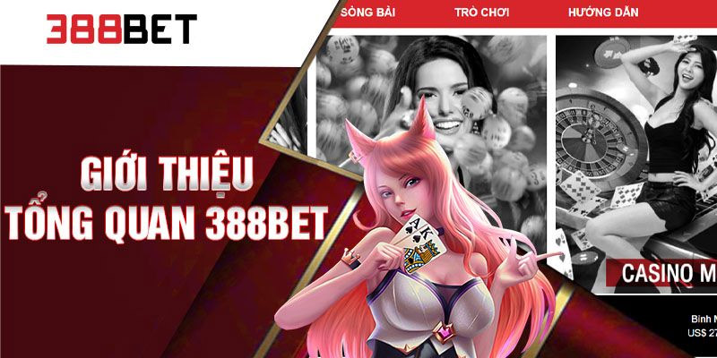 gioi-thieu-tong-quan-ve-388bet